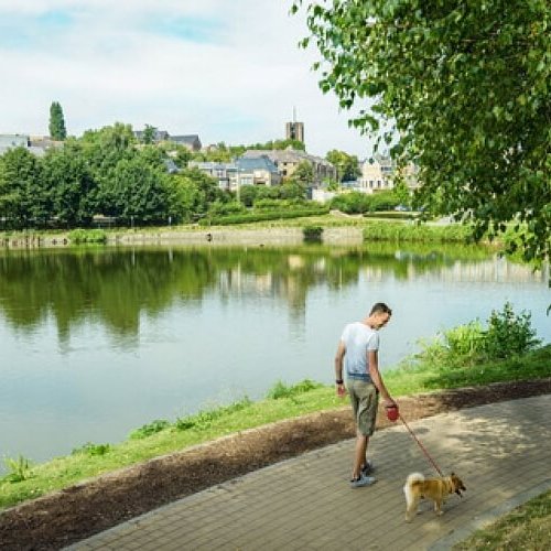 Lac louvain-la-neuve univers santé